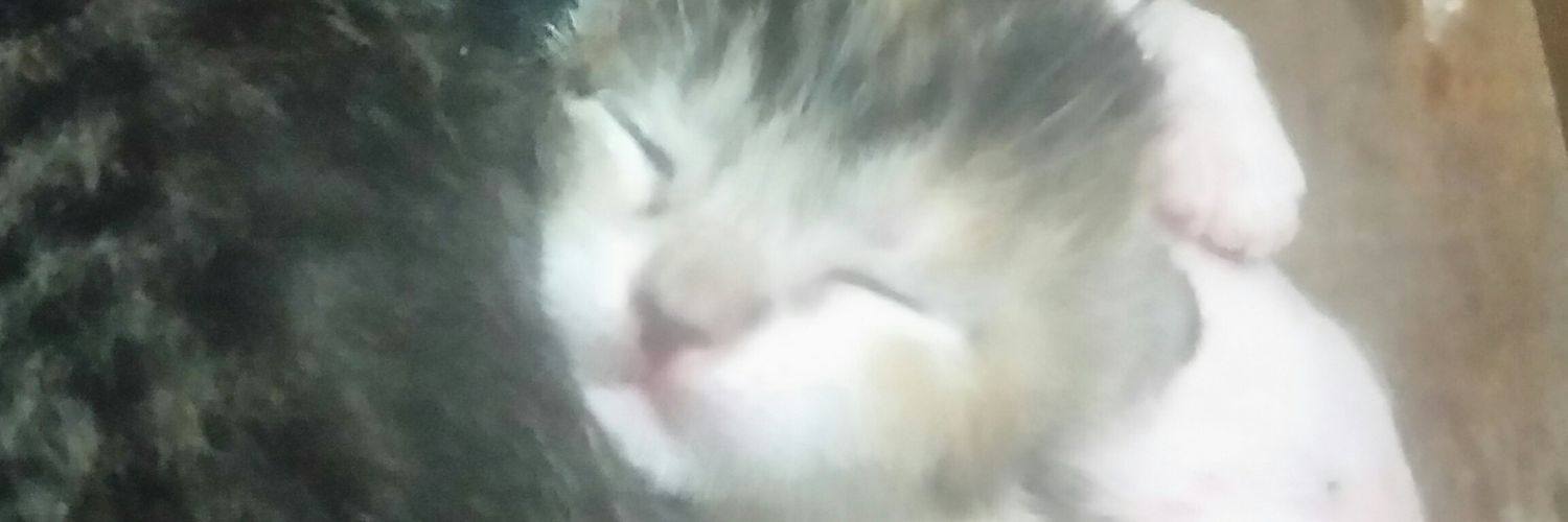 luna_L83's profile banner image