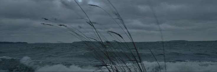 ANewWindBlows's profile banner image