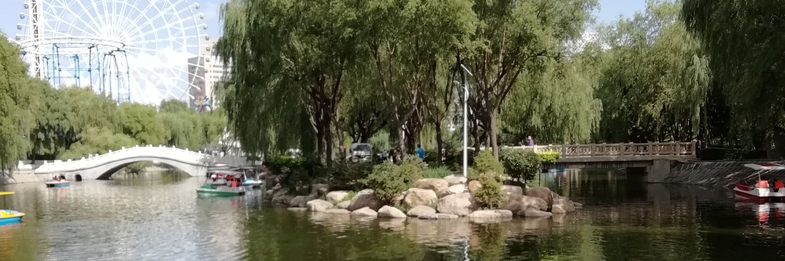 xiaolinzhouuk's profile banner image