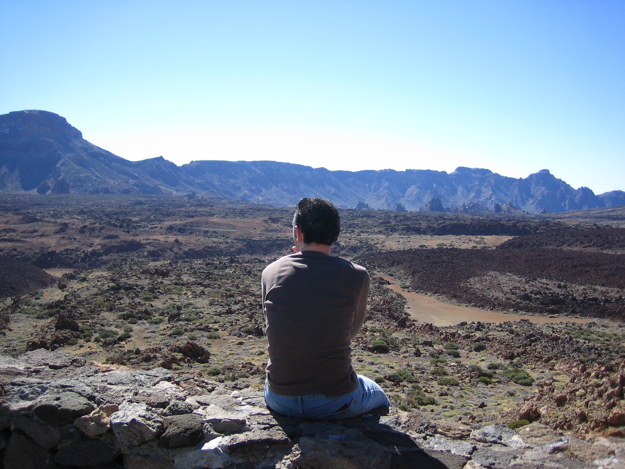 scartolkien's profile banner image