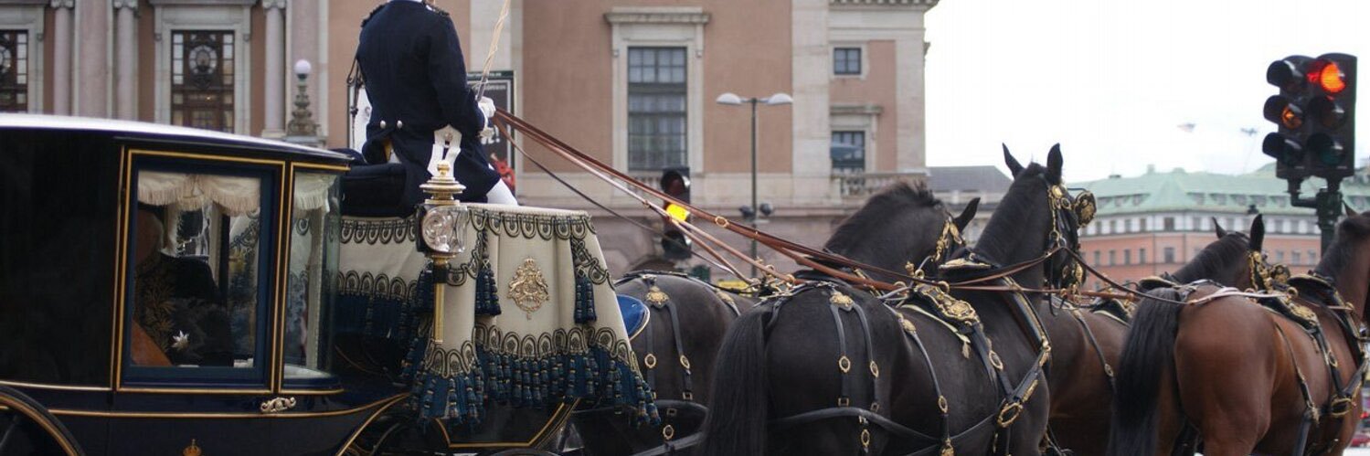 Adam Hałaciński banner