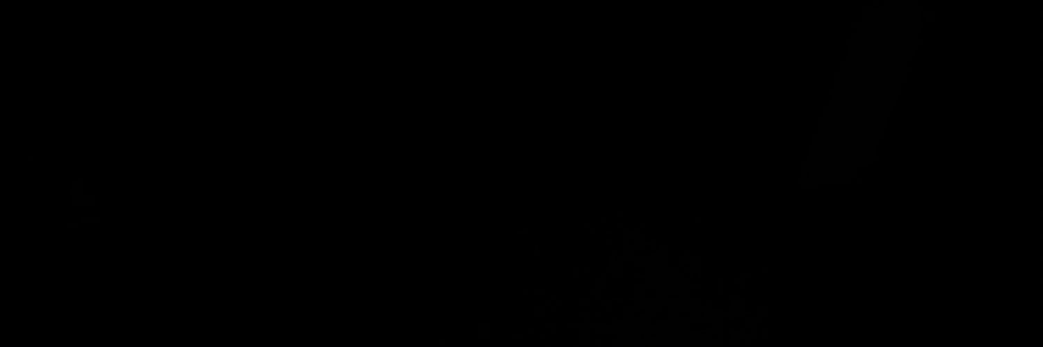 stxtic banner