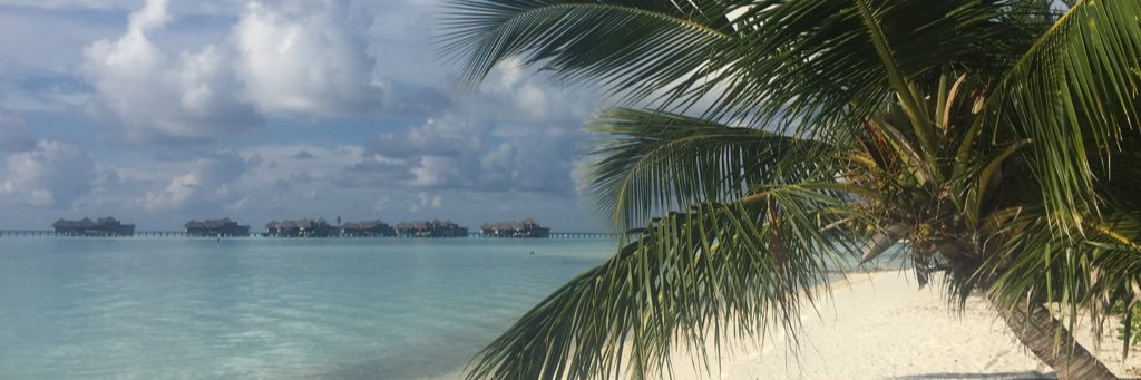 realmateer's profile banner image
