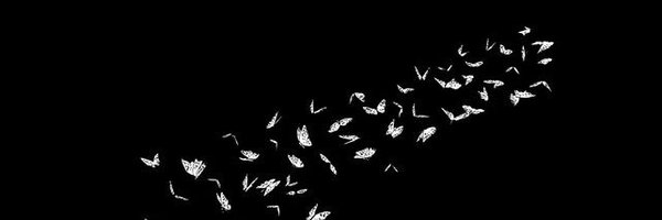 fetedevanille Profile Banner