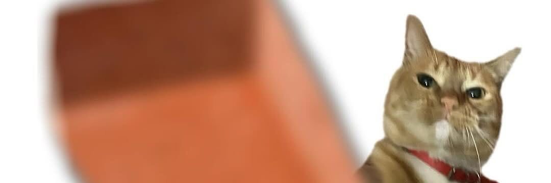 Strawberrystumpeater's banner
