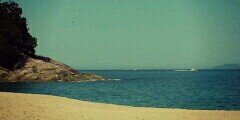 OFCLeeh's profile banner image