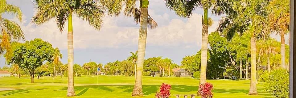 suekel's profile banner image