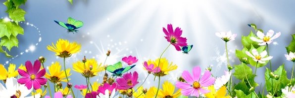 Inimidia Brooks banner