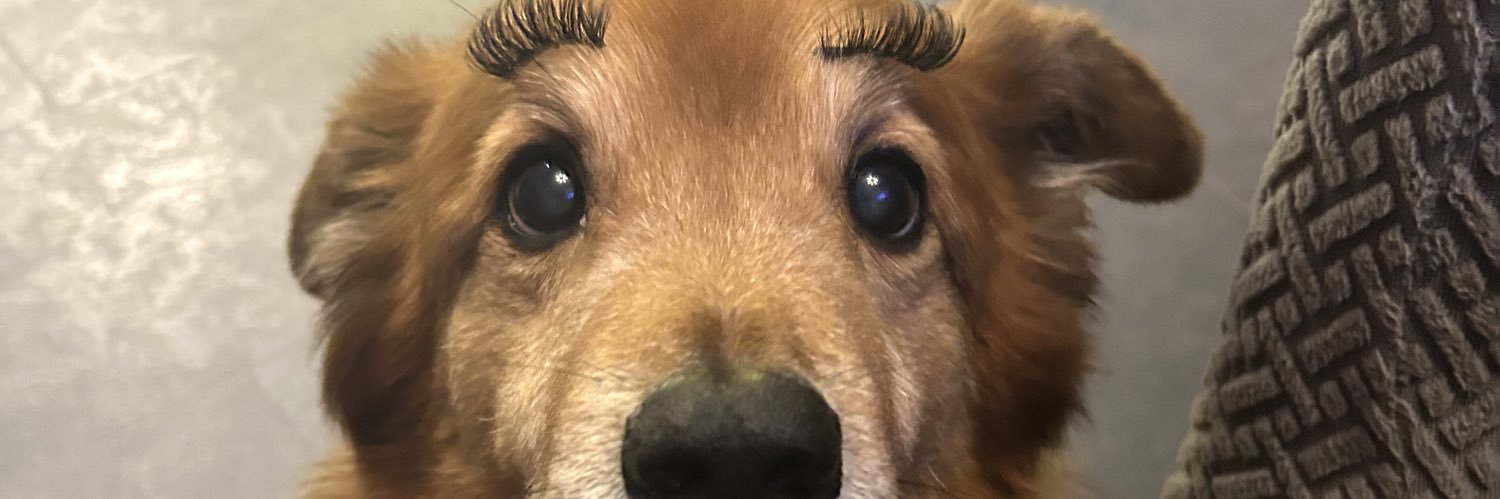 K banner