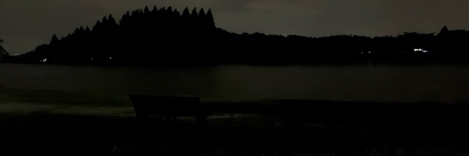 Liarfnbr's profile banner image