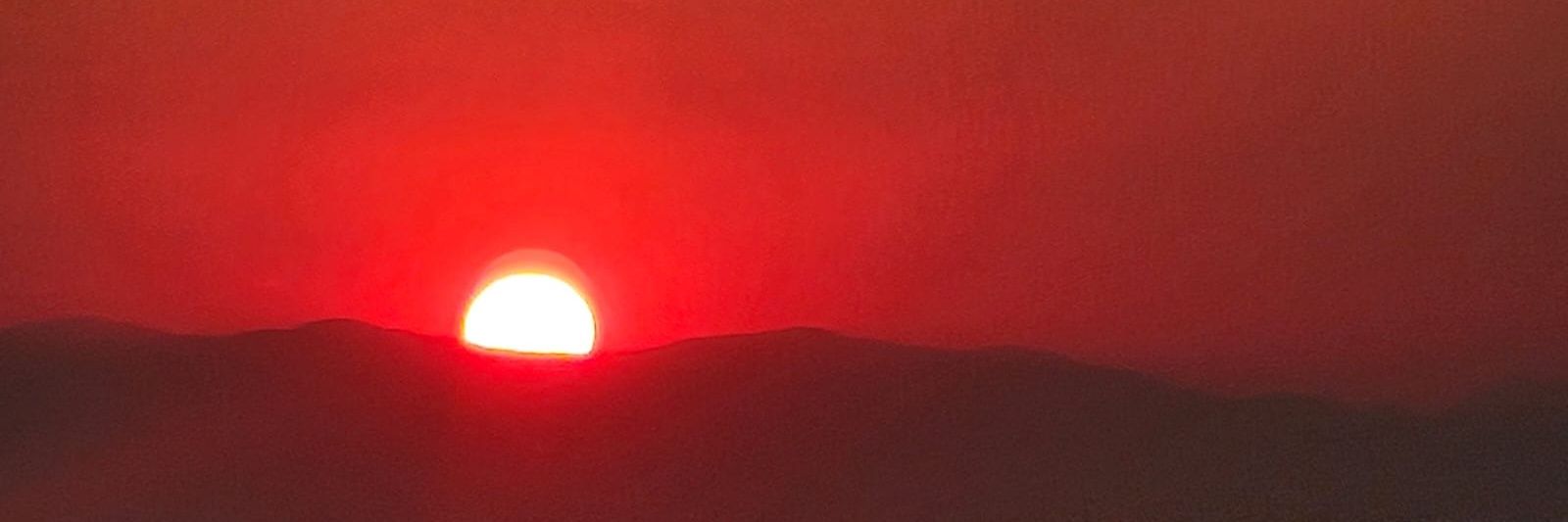 Cryptogirl7789 banner