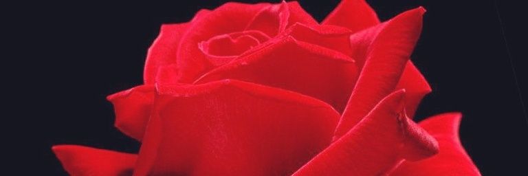 sdhz1385's profile banner image