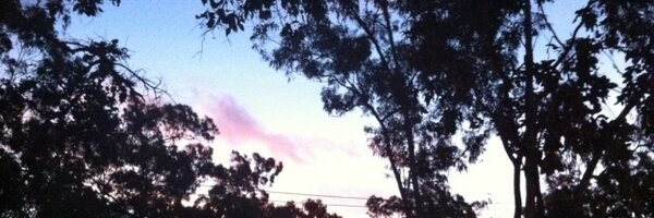 IBRProject Profile Banner