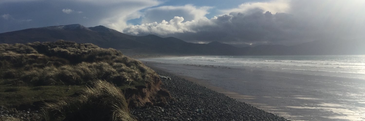 Shane O'Sullivan banner