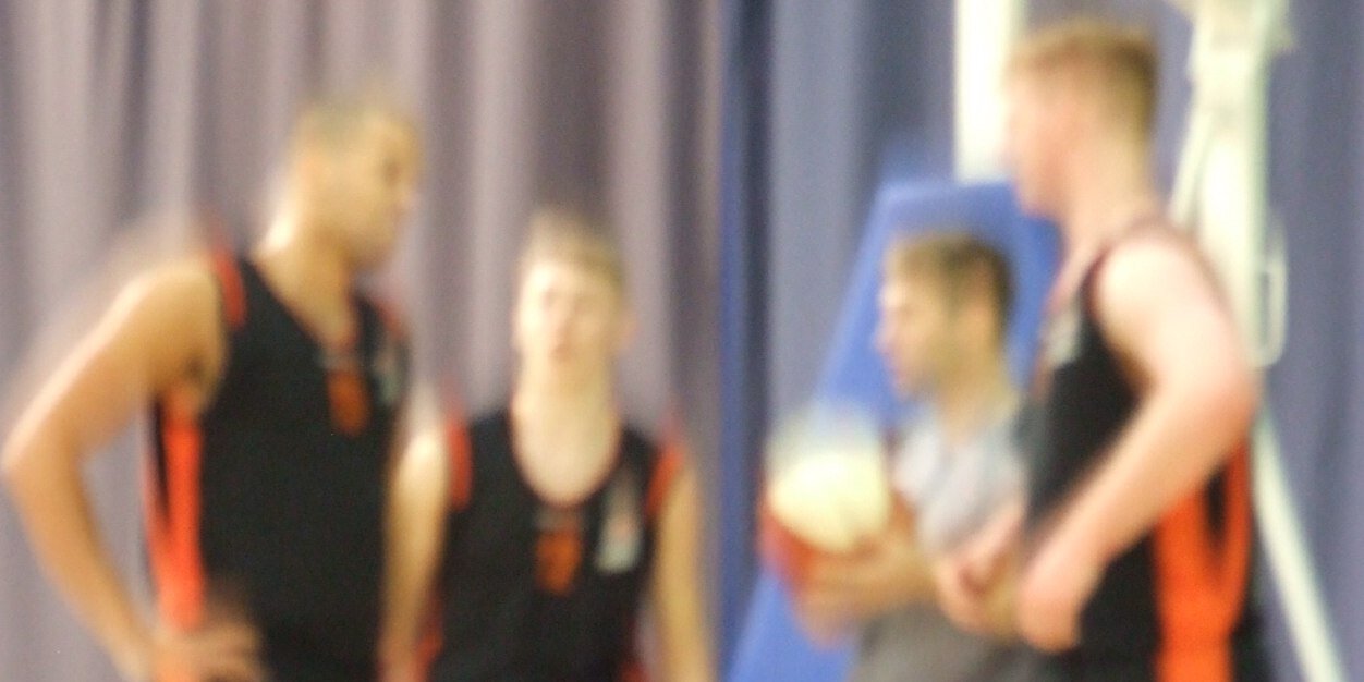 Mersey Tigers banner