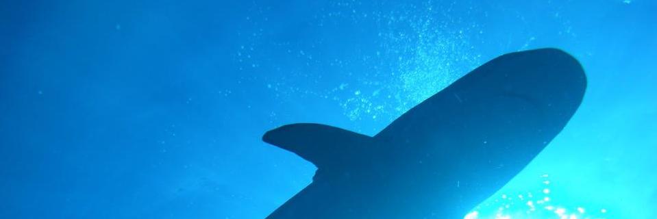 DanielReinaO's profile banner image