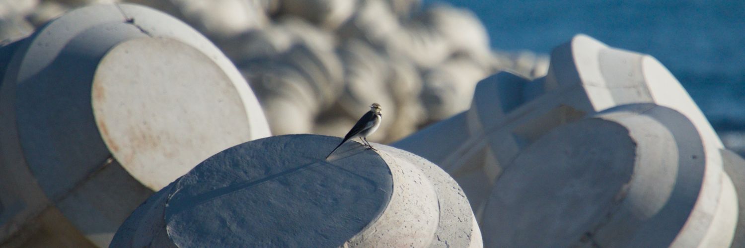 리무리(リムリ)➡️furstclass banner