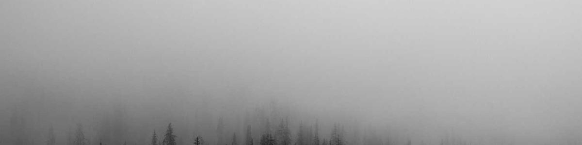 DonnyMonro14548's profile banner image