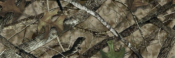 yeahbro400 Profile Banner