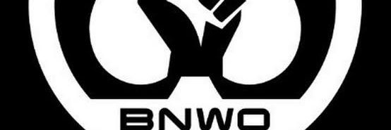 BNWOMENU's profile banner image