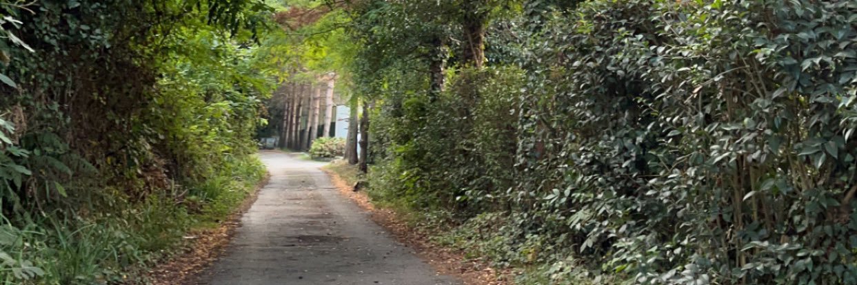 AnwarHome's profile banner image