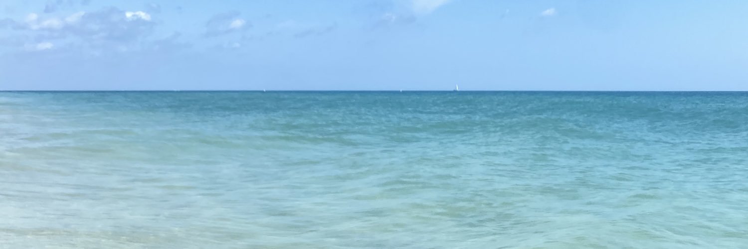 thismrsdavis's profile banner image