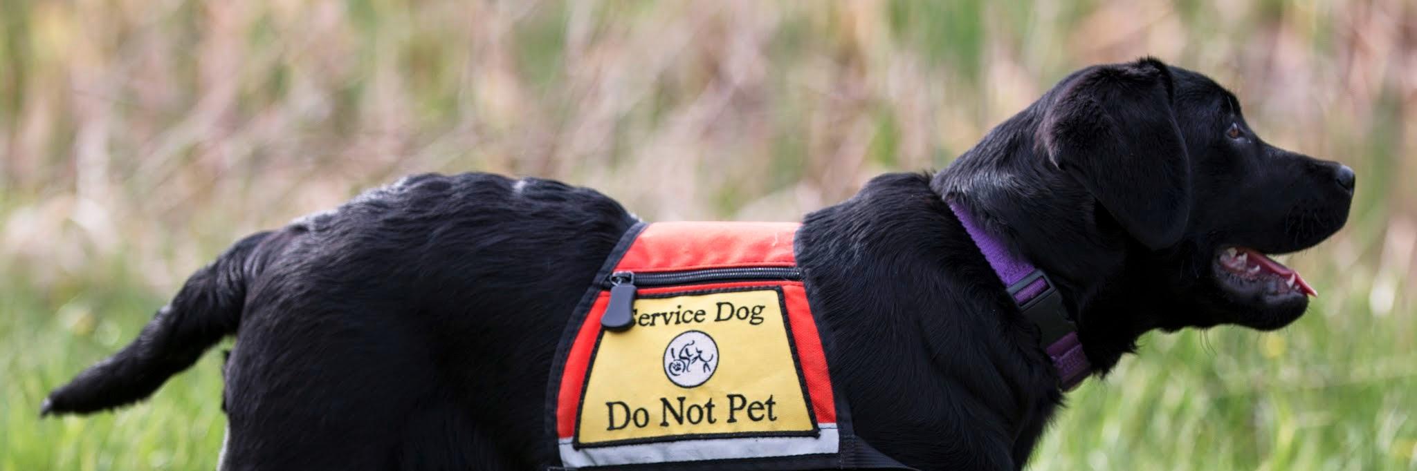 Circle Tail, Inc. banner