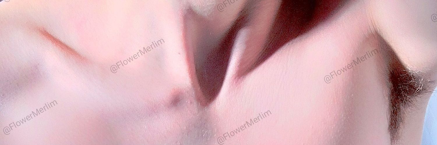 🌺Ｍｅｒｌｉｍ 🌺 banner