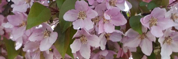 Jeanmb47 Profile Banner