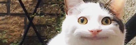 Hi_i_nm's profile banner image