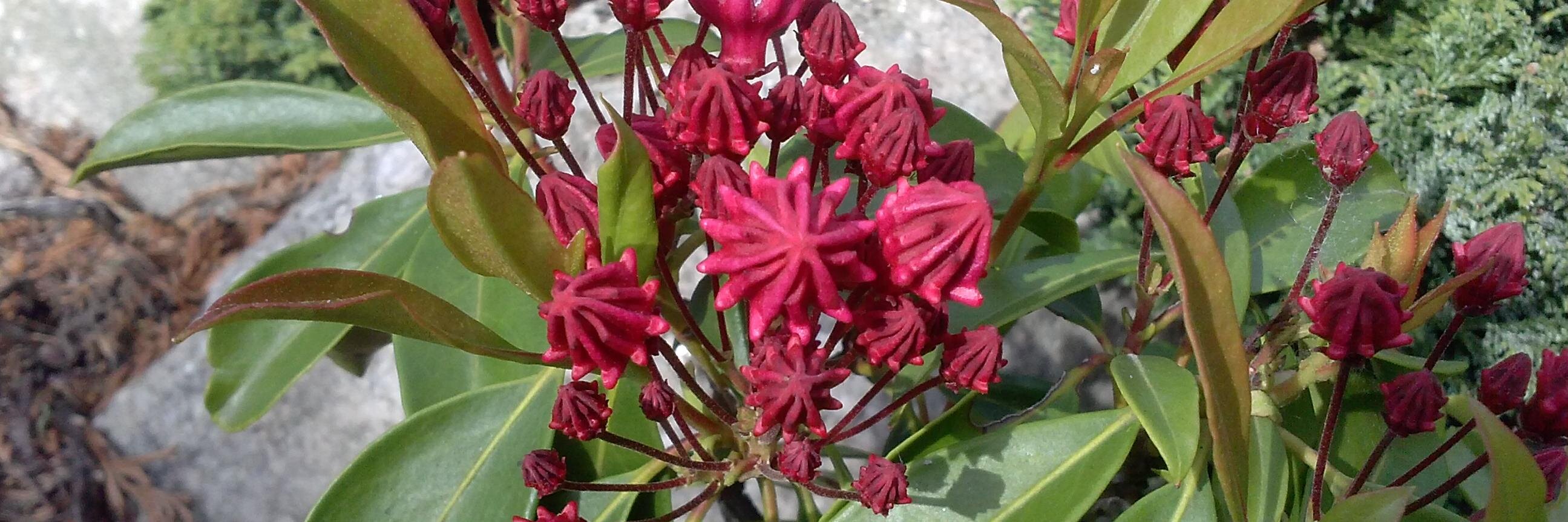 K_ Mil ن 💯 banner