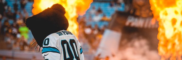 SirPurr Profile Banner
