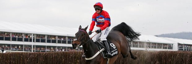 James Dillon banner