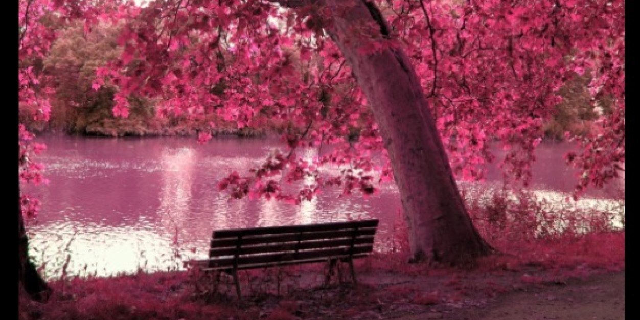 pam_samayoa's profile banner image
