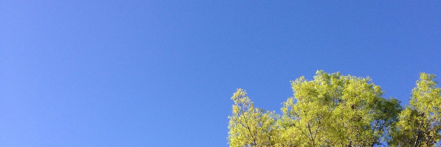 Alma Guerrero banner