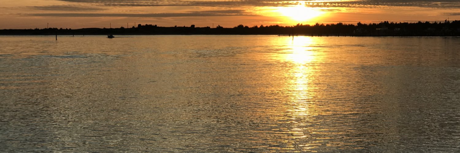 ncsurfisher's profile banner image