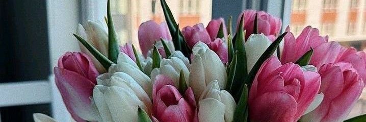 ابو تراب banner