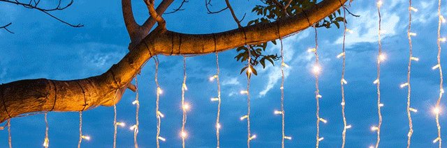 🦴𝓑𝓮𝓵𝓵𝓪🦴 (0/10 Rps) banner