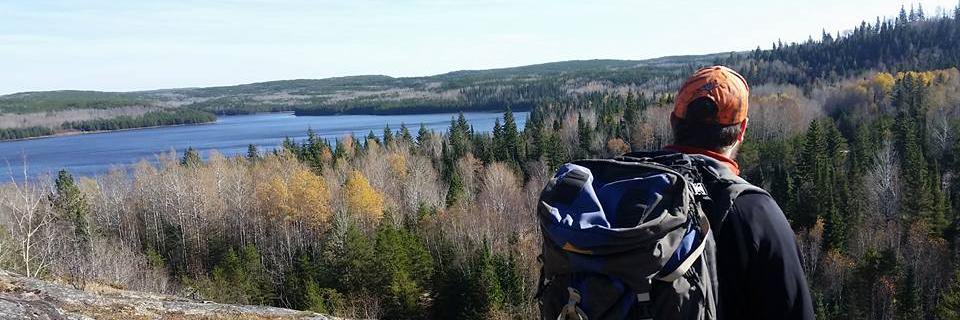 brookeparvi's profile banner image