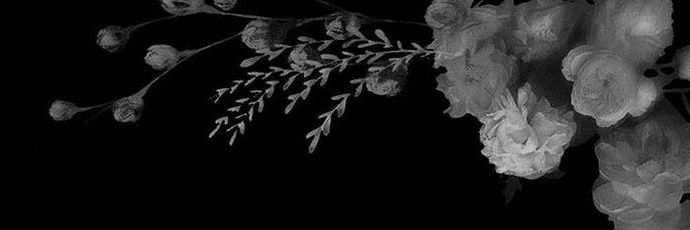 𝕂𝕚𝕞𝕚𝕜𝕠 banner