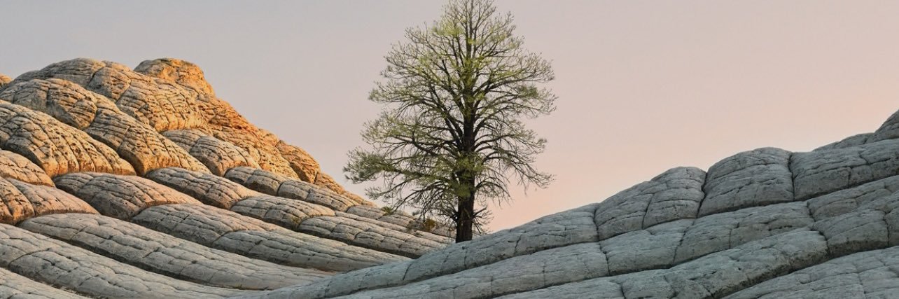 pegoisa's profile banner image