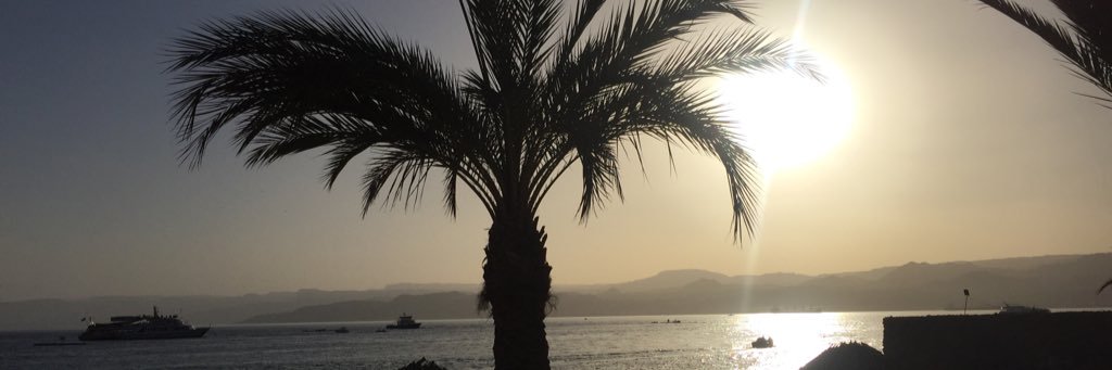 mim____x's profile banner image
