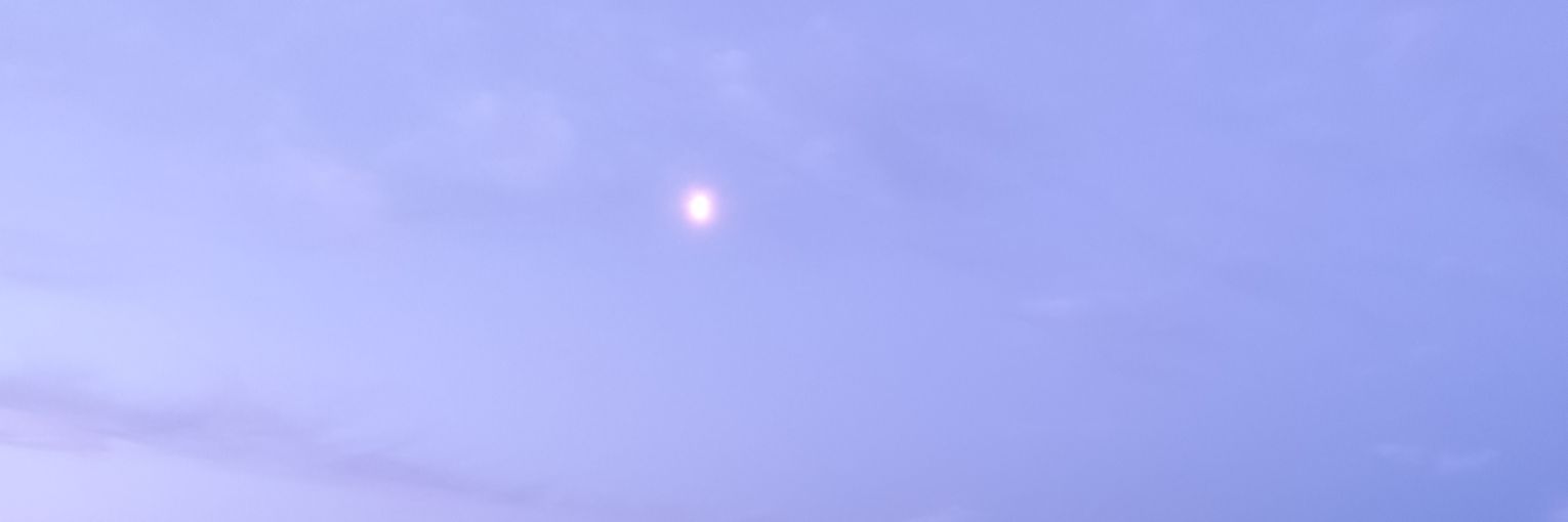Chris🌿's banner