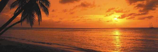 SWFLGoodLife's profile banner image
