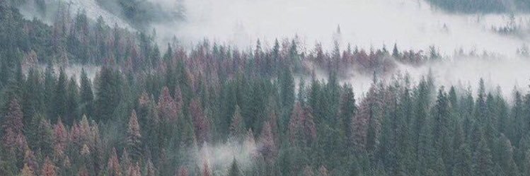 tacobrel_'s profile banner image