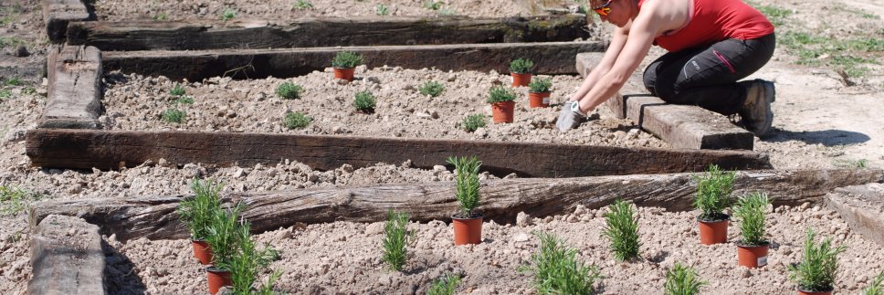 Minerva Sellés banner