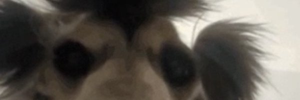 Monkssbu Profile Banner