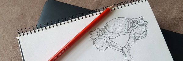 serena_ysn Profile Banner