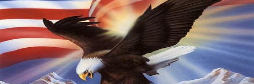 Jerryk 🇺🇸 banner