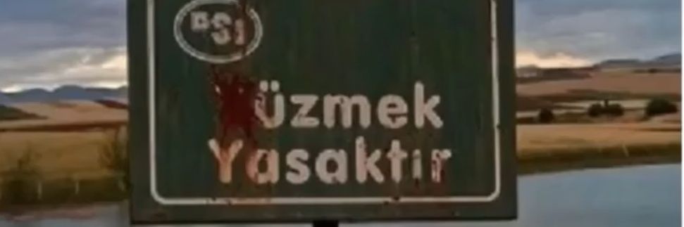 zeybiko's profile banner image